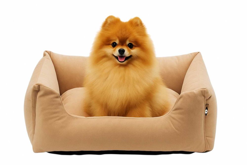 Legowisko dla psa 80 cm/65 cm rozm. L wygodna sofa leżanka kanapa Beż