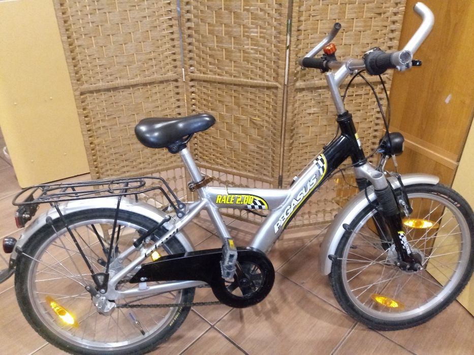 Rower dzieciecy Pegasus