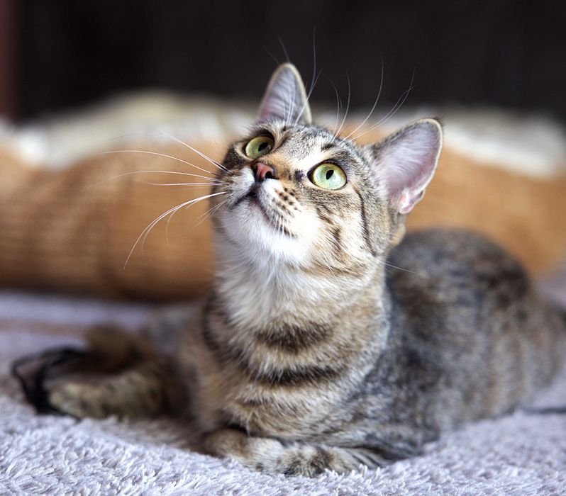 Czekamy na wspólny domek.