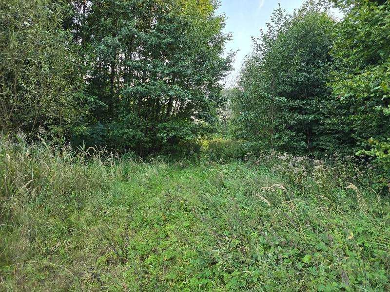 Syndyk sprzeda działkę rekreacyjną w Kolonii Seredzice - Widok 3