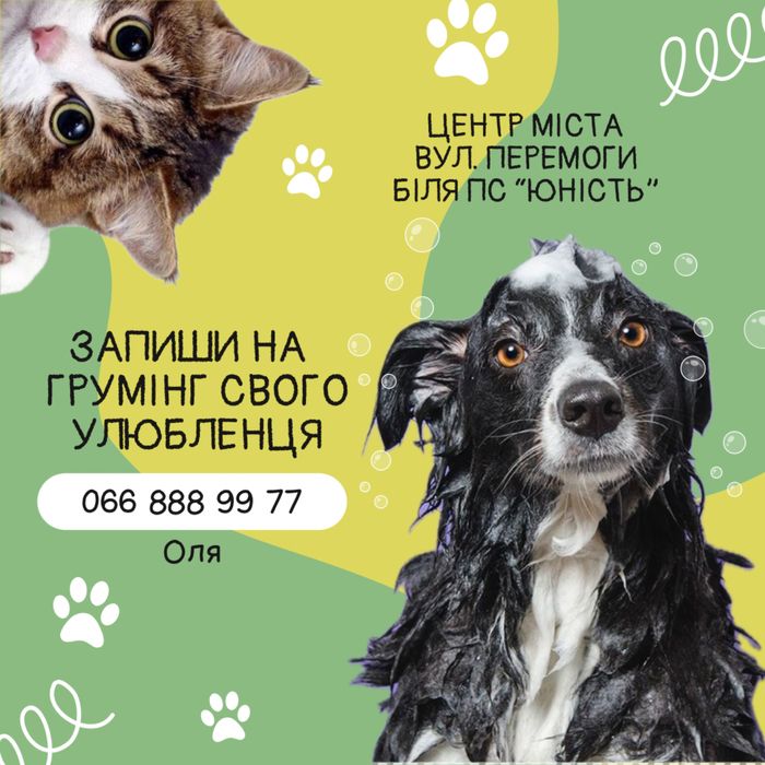 Стрижка, грумінг собак та котів, грумер