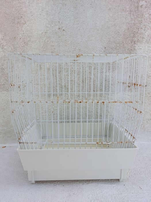 Gaiola/transporte de aves