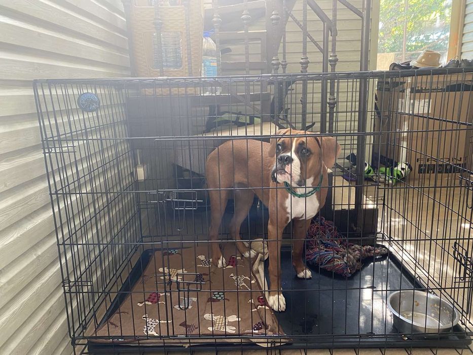 Клітка Укріплена для собак, клетка для больших собак, вольер для собак