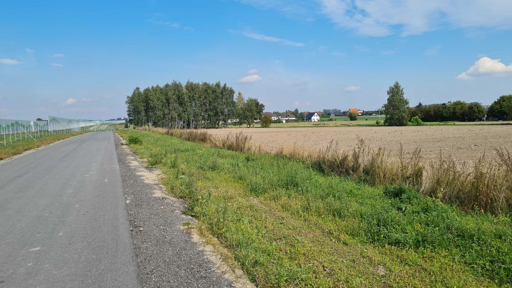 Działka 1225 m2  (94zł/m2)w Piotrkowie w okolicach Castoramy