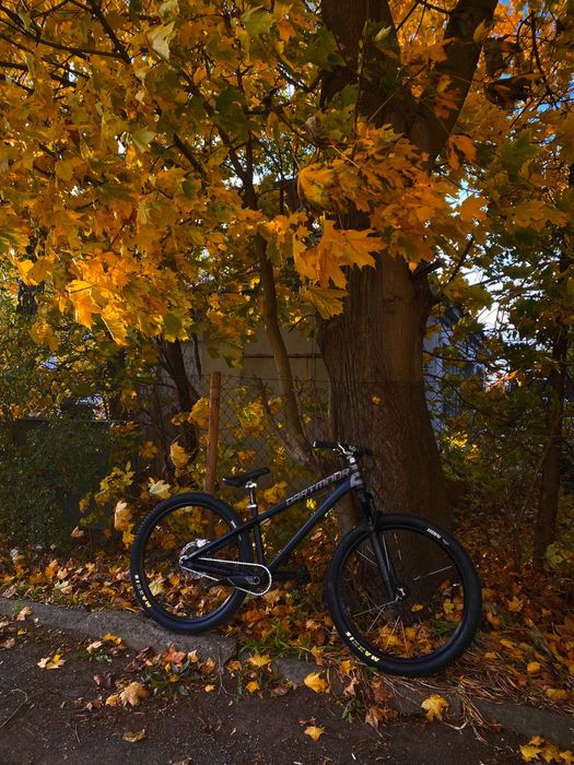 Dartmoor two6 (Chromag) (burgtec) (reverse )