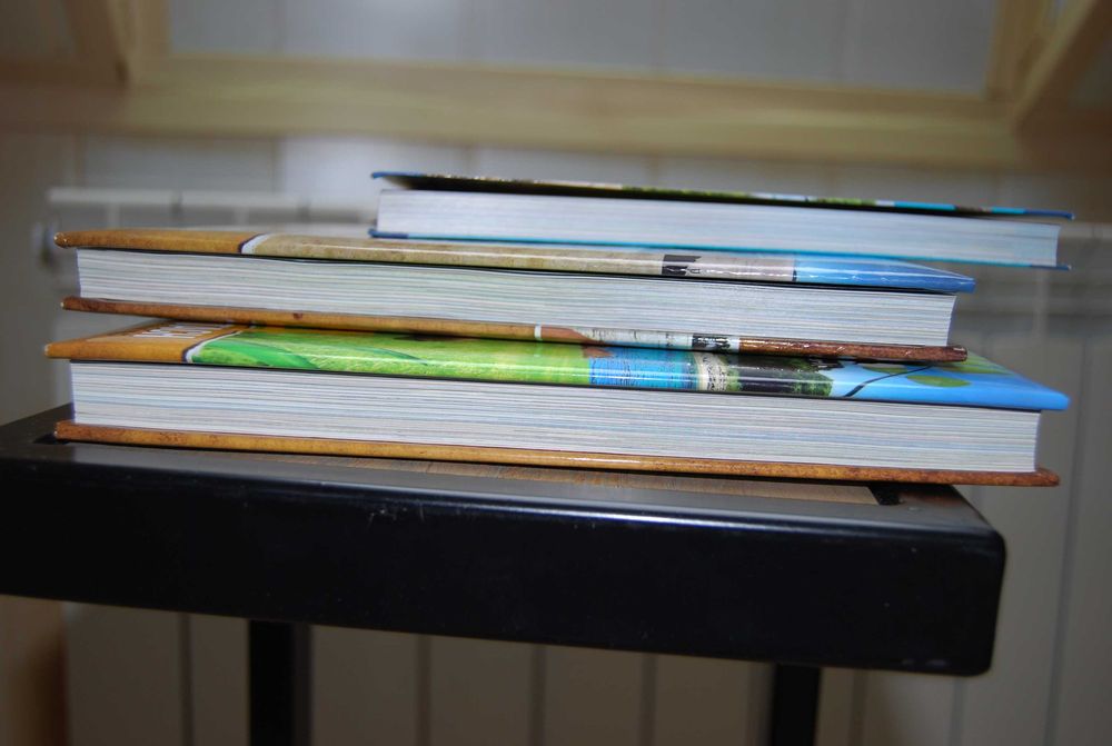 Nela mała reporterka cz, 3 i 10 gratis kalendarz -  Zestaw Książek -