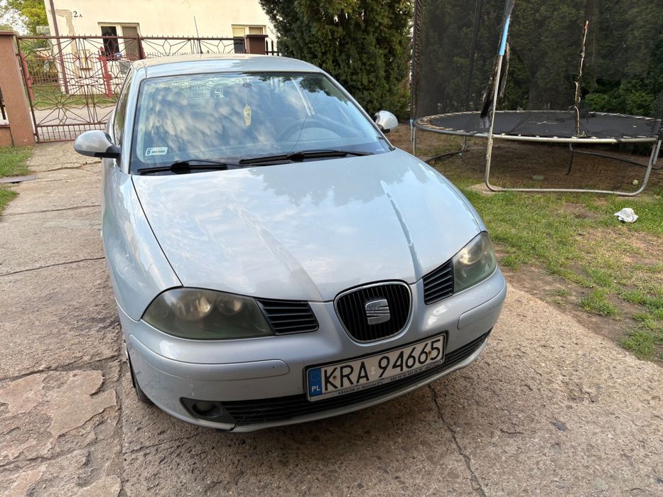 Seat Ibiza 1.4 2002