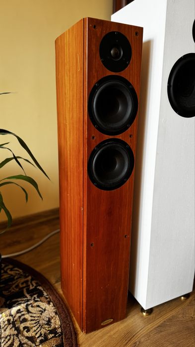 Tannoy Revolution R2 | 100% sprawne | ślady użytkowania | odsluch