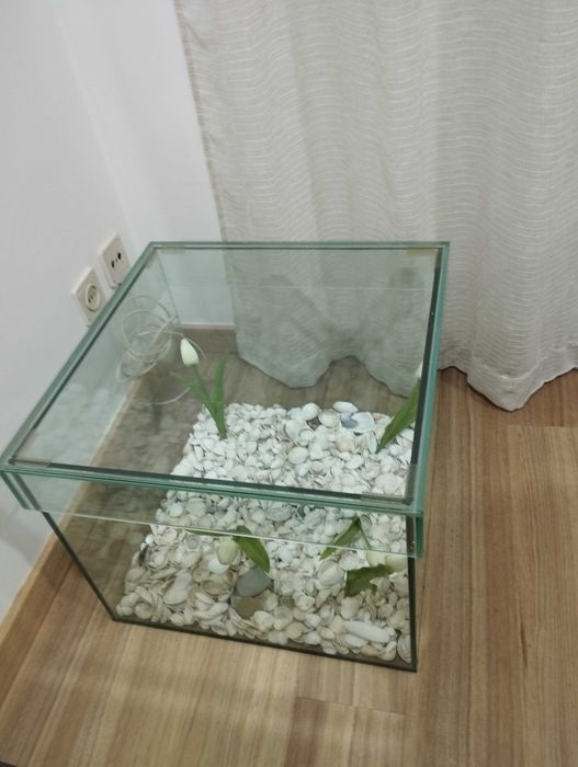 Mesa / caixa de vidro quadrada 50 cm , altura 40 cm
