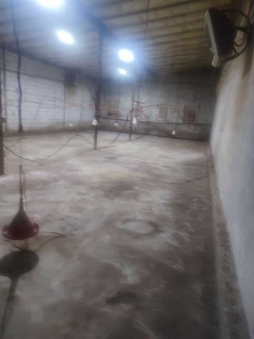 Оренда ферми з обладнанням і опаленням у Броварському районі