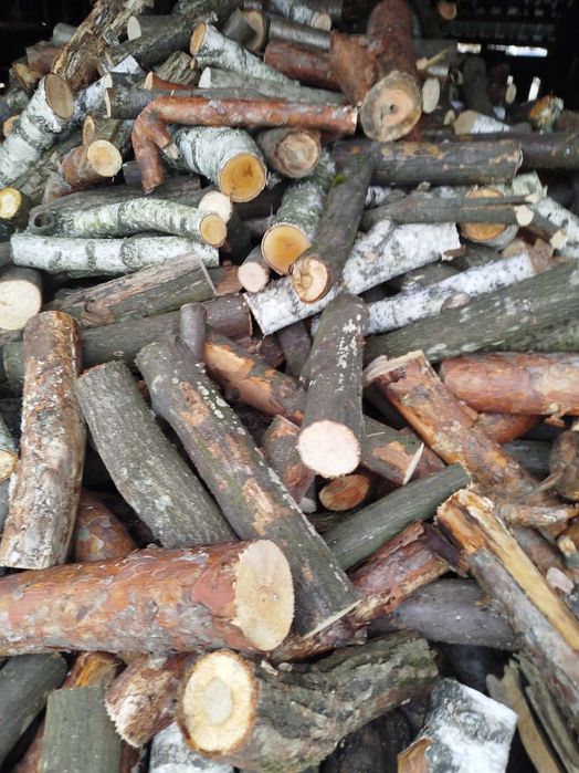 Sprzedam dżewo na opał