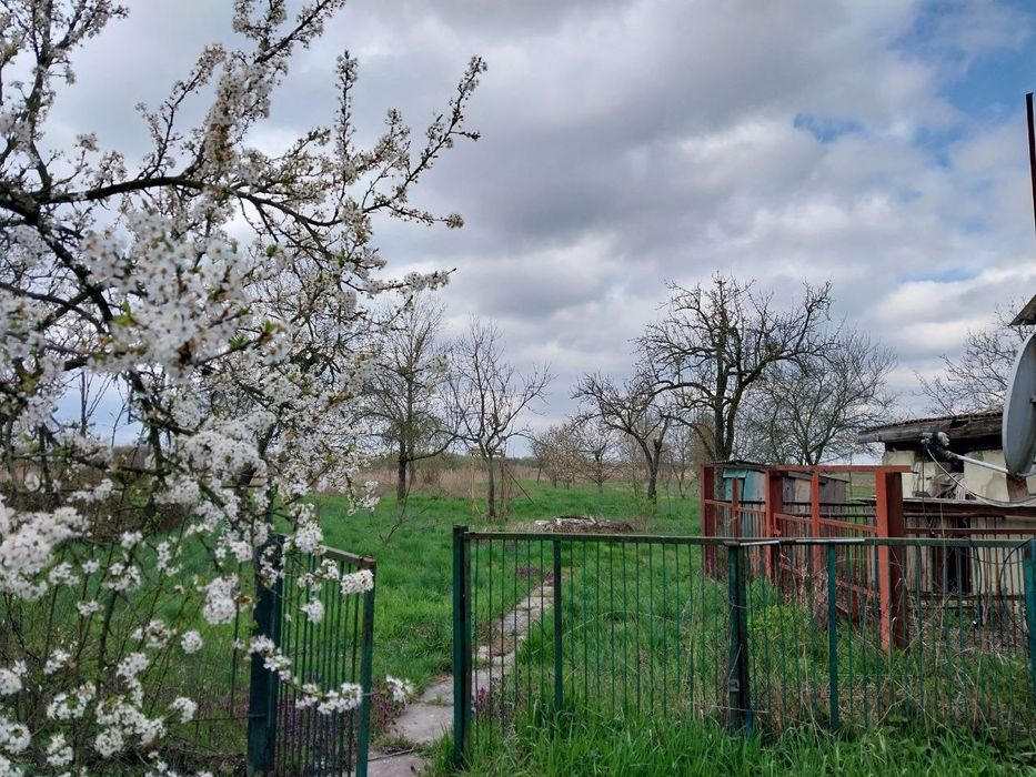 Продається приватний будинок з учаском у селі Демечі Закарпатської обл