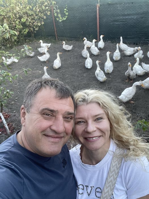 Продам тушки качок домашні