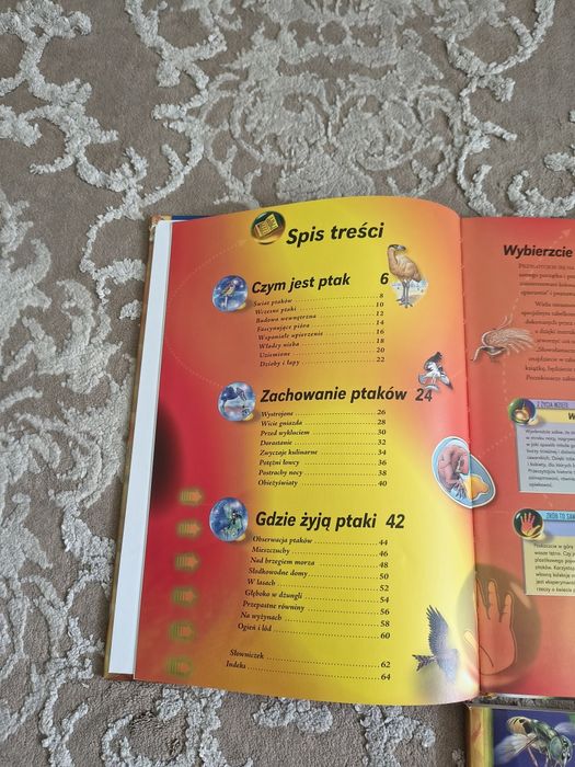 Seria książek Poszukiwacze