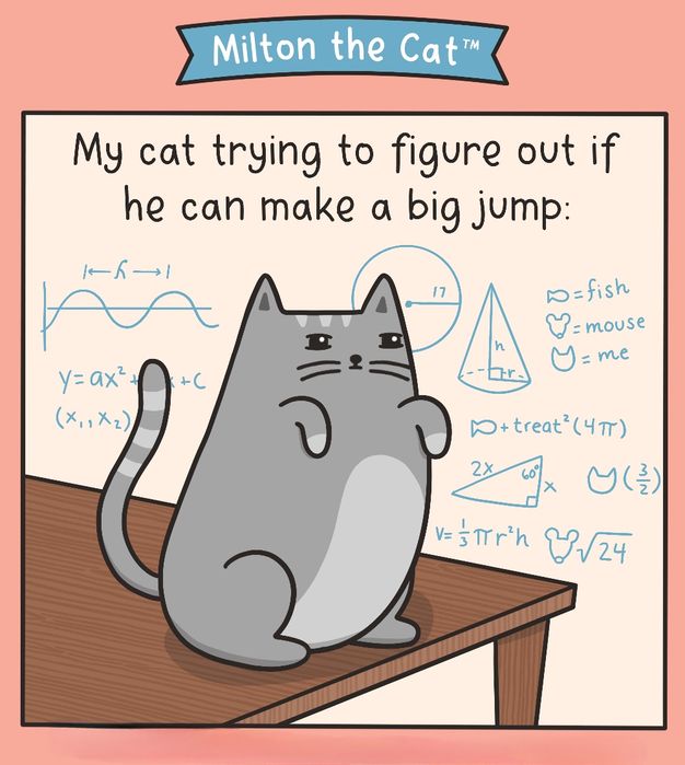 matematyka (MATURA, szkoła podstawowa, średnia i studia)