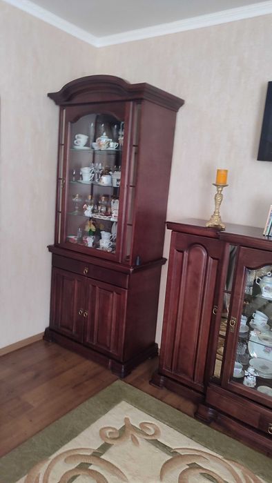 Великий будинок для сім'ї Орлівщина
