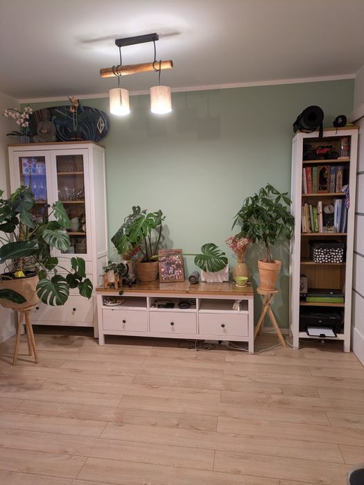 Szafka RTV regał witryna Hemnes