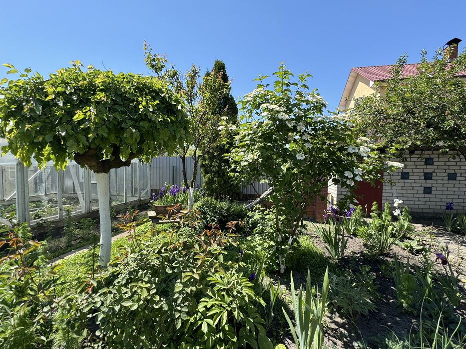 Аренда дома Вишенки 3 недалеко от Золоче рядом Днепр