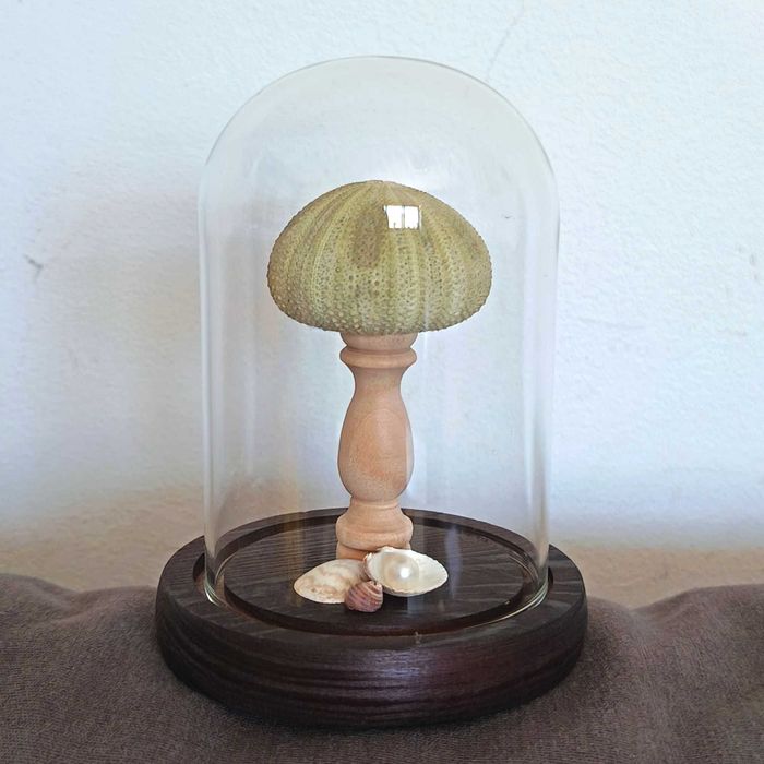 Candeeiro em forma de concha