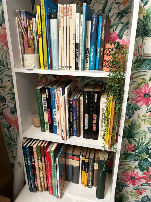 Livros variados de temas diferentea