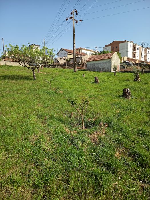 Limpeza de terrenos