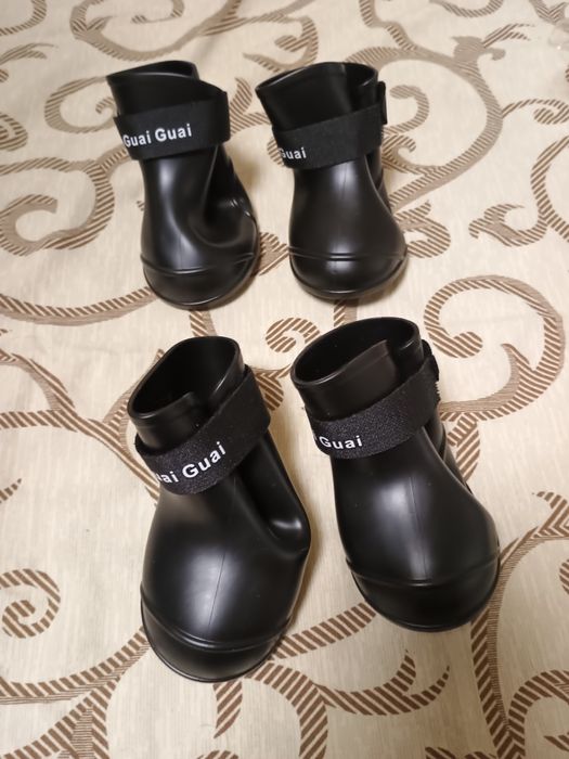 Черевики для собак