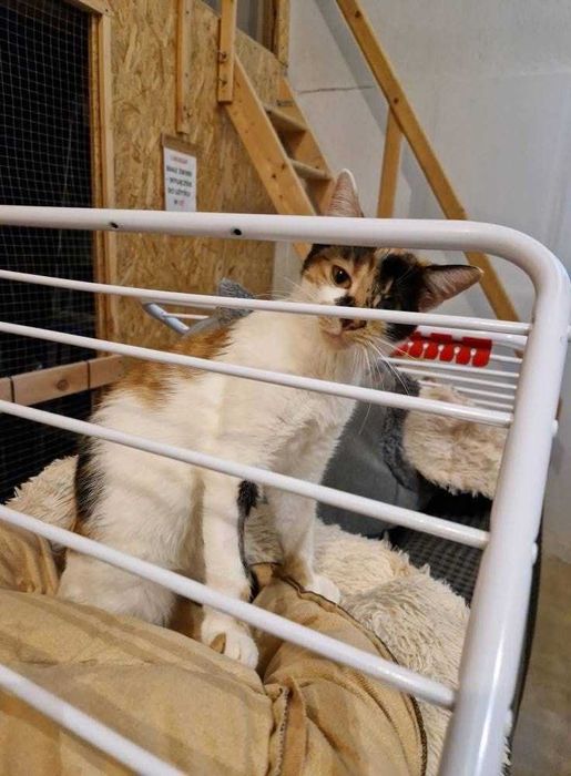 Przesłodka Kida szuka swojego zakątka