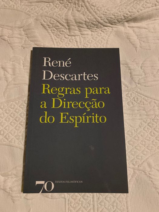 Regras para a Direção do Espírito