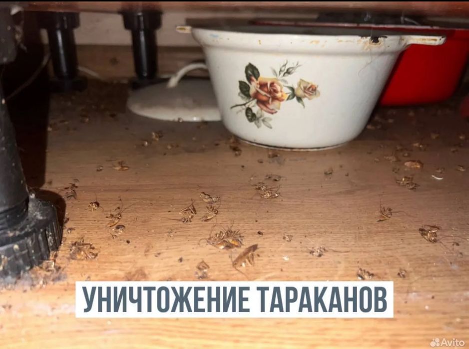 100% уничтожение тараканов клопов блох мышей крыс. Гарантия 1 год!