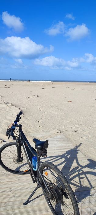 Bicicleta elétrica  Riverside 520e