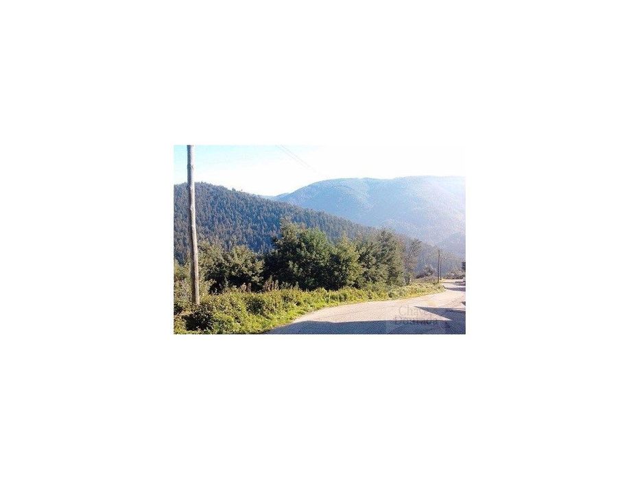 Terreno com 2.650m2 nas Torres do Mondego.