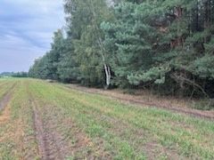 Działka rolna 1.46 ha, Białki gm. Tłuszcz - View 4