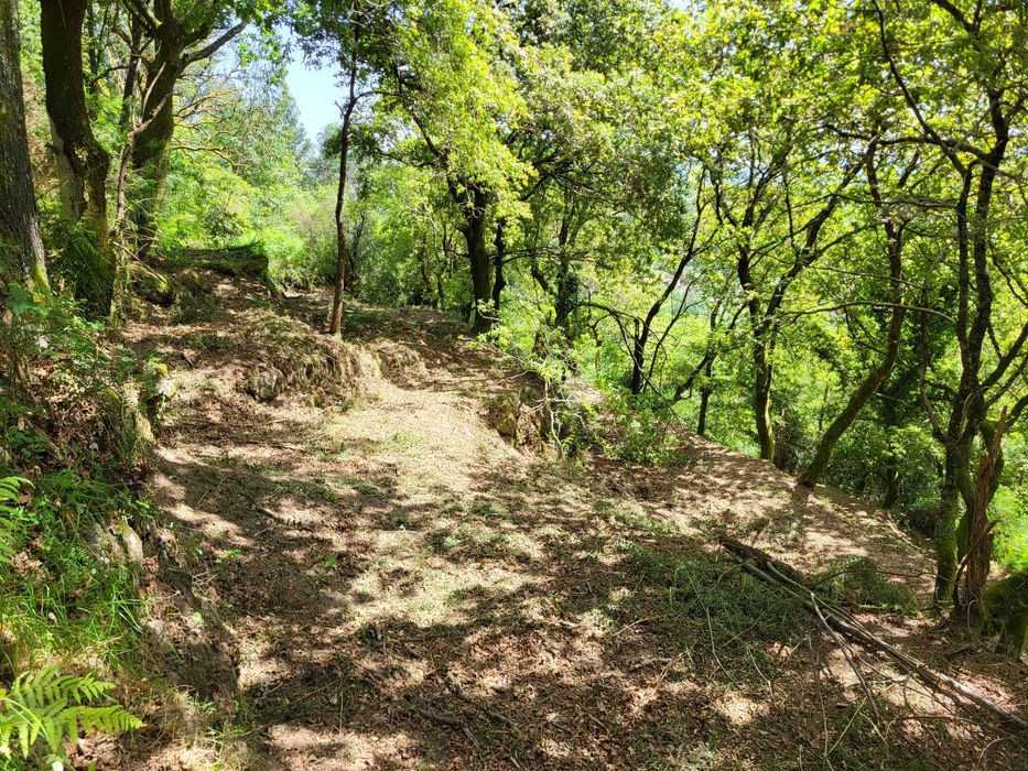 Terreno no Gerês com Ruína e Mina 3 Artigos 8.100m²