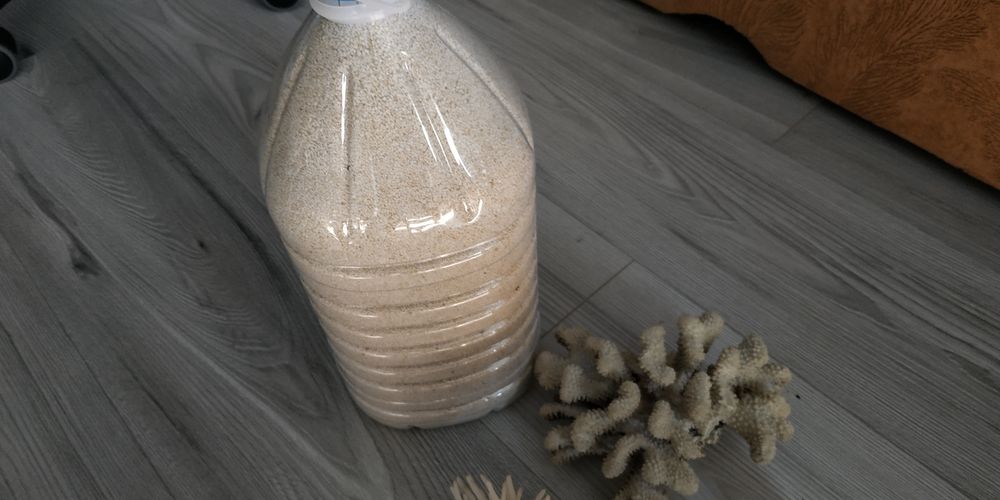 Псевдоморе  Аквариумистика