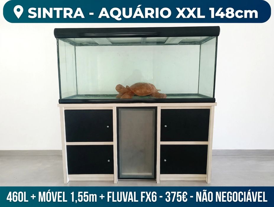 Aquário 148cm 460L + Móvel 1,55m + Filtro Fluval FX6 - 375€ Não Negociável - Sintra