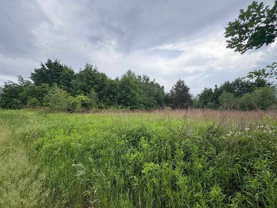 Działka budowlana Podkampinos 1045 m² + udział w drodze dojazdowej - Widok 3