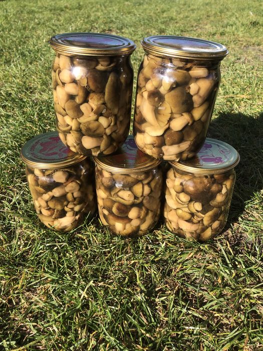 Волинські мариновані гриби