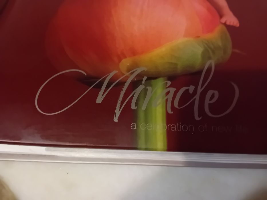 Álbum de Fotos com Cd Miracle
