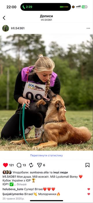 Кінолог онлайн, Дрессерування онлайн