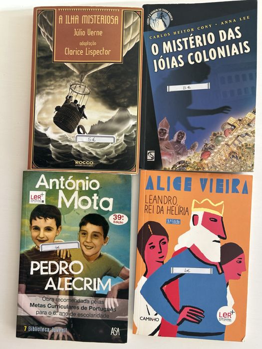 Lote de Livros Variados (Juvenis, Clássicos e PNL)