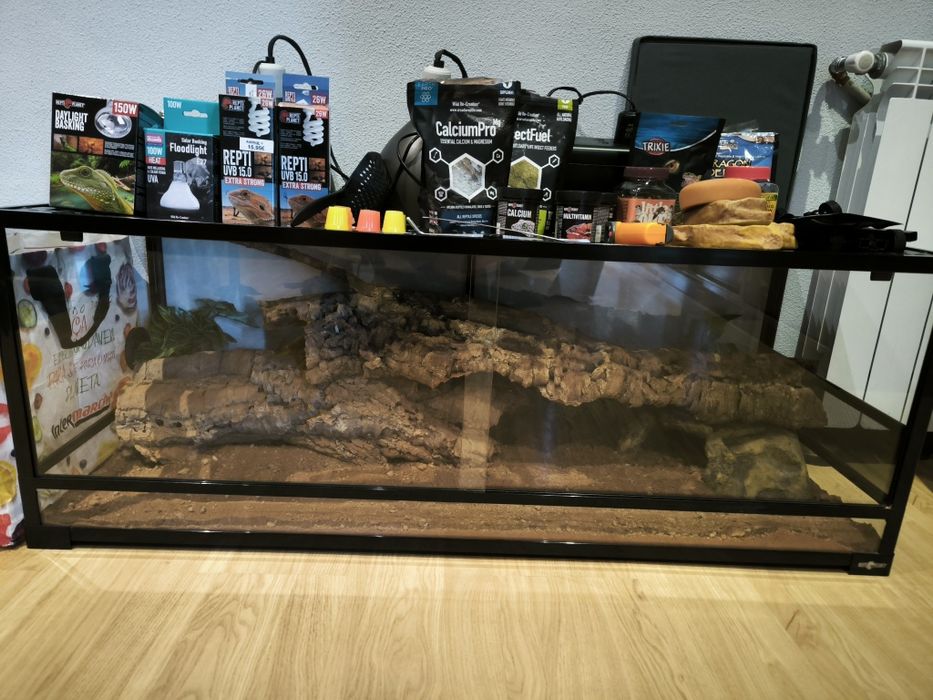 Terrário Grande C/ Acessórios