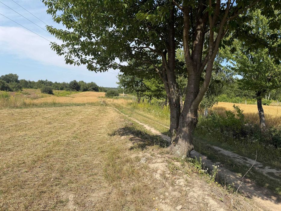 ПРОДАЖ 15,98 сот під ЗАБУДОВУ | Великі Гори, село біля Львова | 11 000 $
