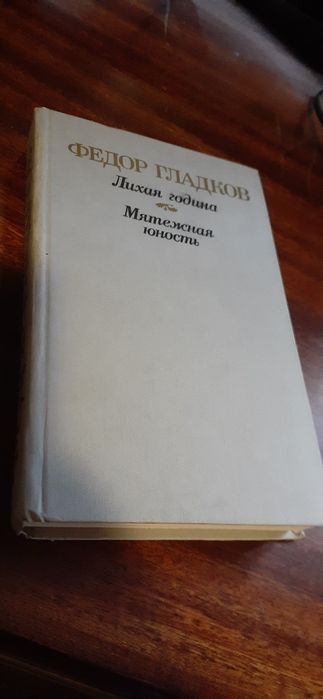 Ф. Гладков. Лихая година, Мятежная юность