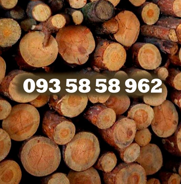 Продам дрова с бесплатной доставкой - Лозовая, Краснопавловка, Орелька, Панютино, район