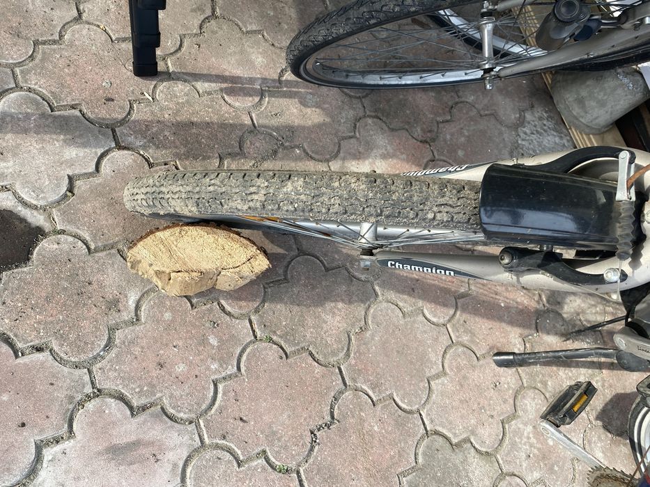 Rower horizon sprawny