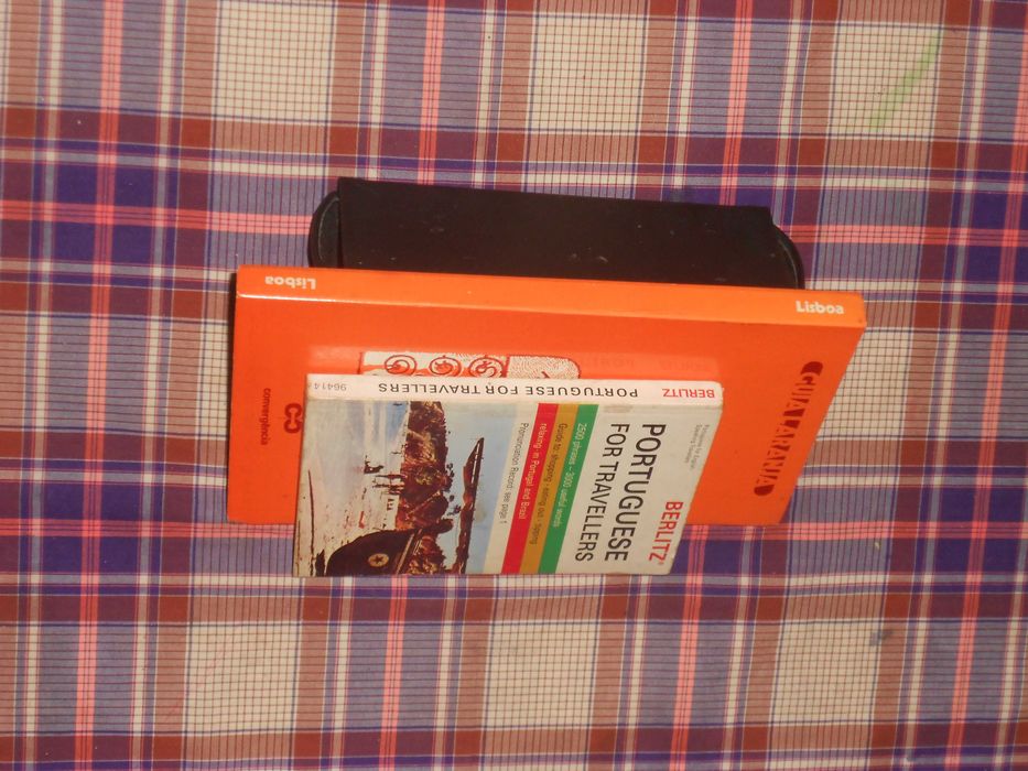 Guia Laranja Lisboa / Portuguese for travellers