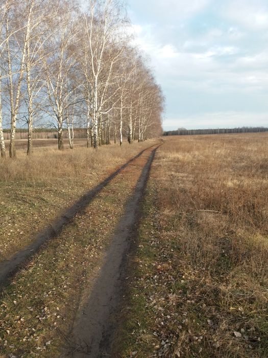 Земельна ділянка