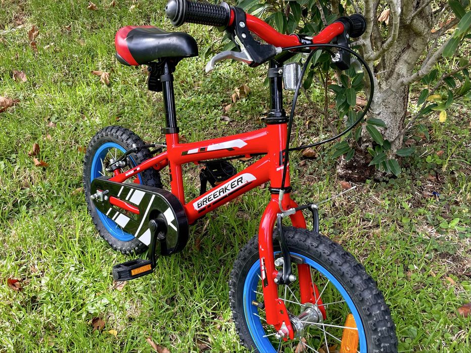 Bicileta de Criança 14 polegadas (4-5 anos)