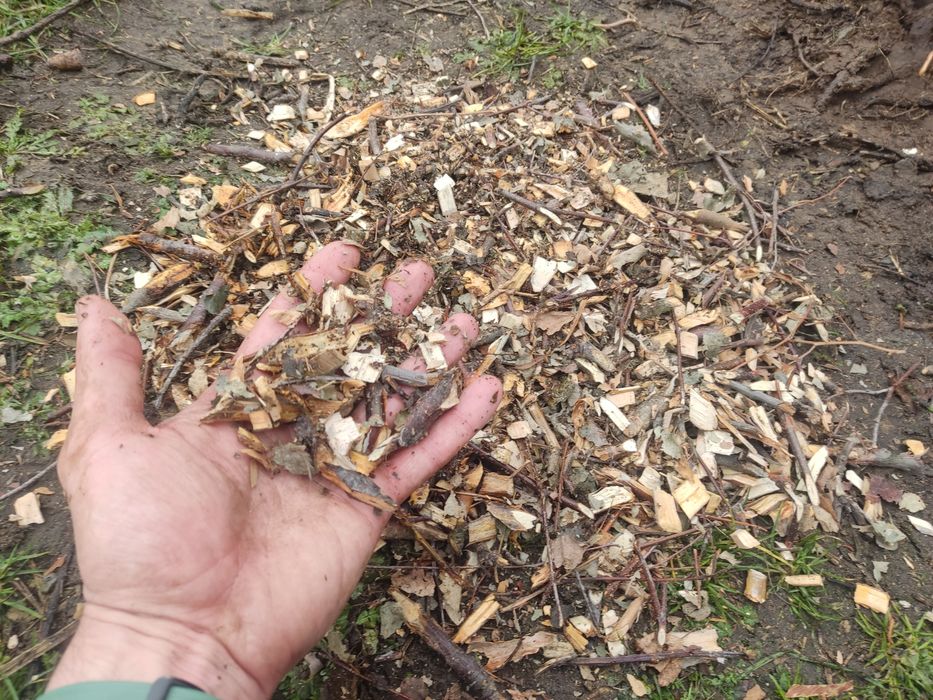 Zrębki drzewne liściaste