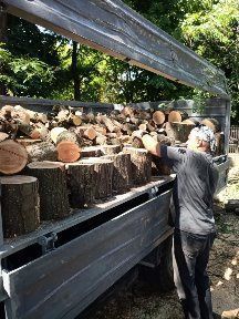 Продам дрова акация